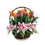 Festival de Tulipanes