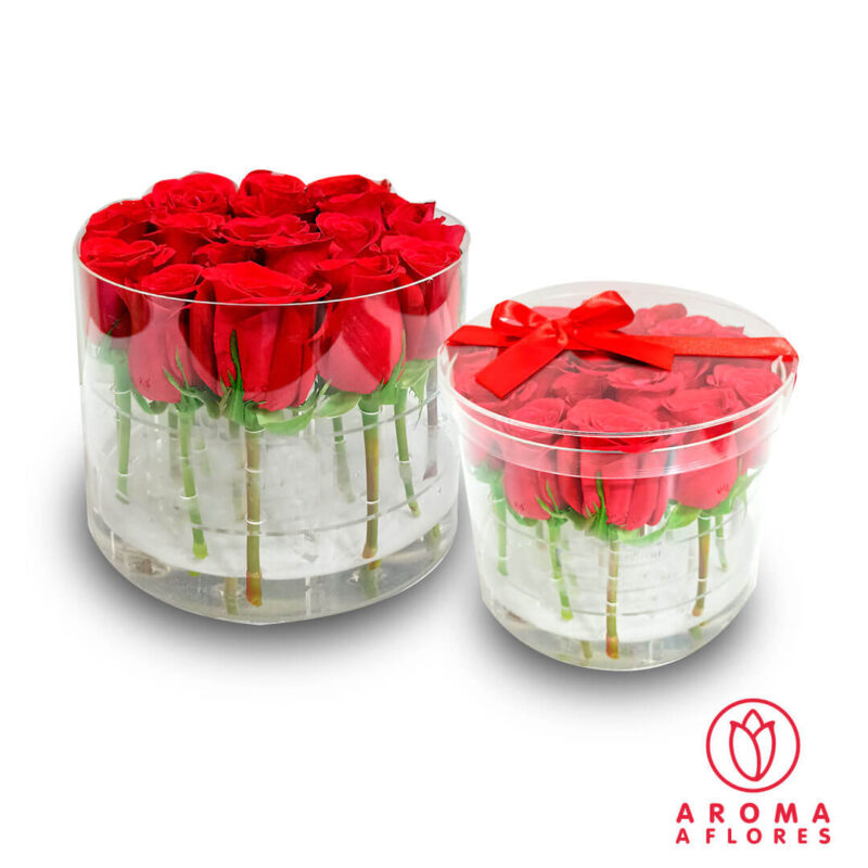 Box-Acrilico-20-Rosas-aromaaflores