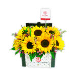 Box Baúl Girasol