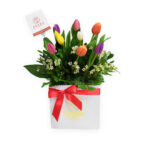 Box Tulipanes