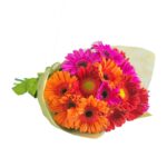 Ramo 15 Gerberas