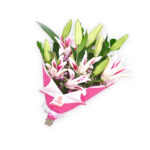 Ramo Lilium Rosado
