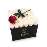 Box 36 Rosas Blancas