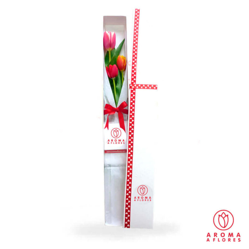 caja-3-tulipan-aromaaflores