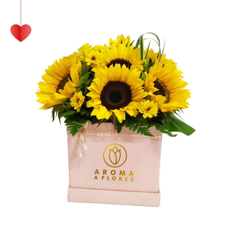 box-girasoles-aroma-a-flores