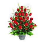 Vanessa 24 Rosas