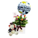 Box 8 Tulipanes y oso graduado