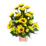 Box 12 girasoles