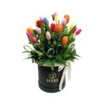 Box 20 tulipanes