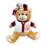 Oso Arlequín Universitario