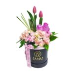 Box Petit Rosa Lilas