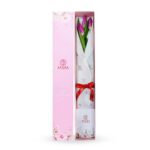 Caja de 3 tulipanes morados