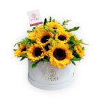 Box 24 girasoles