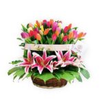Cesta 35 tulipanes