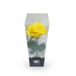 Rosa amarilla preservada mediana - Imagen 2