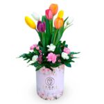 Box sweet tulips