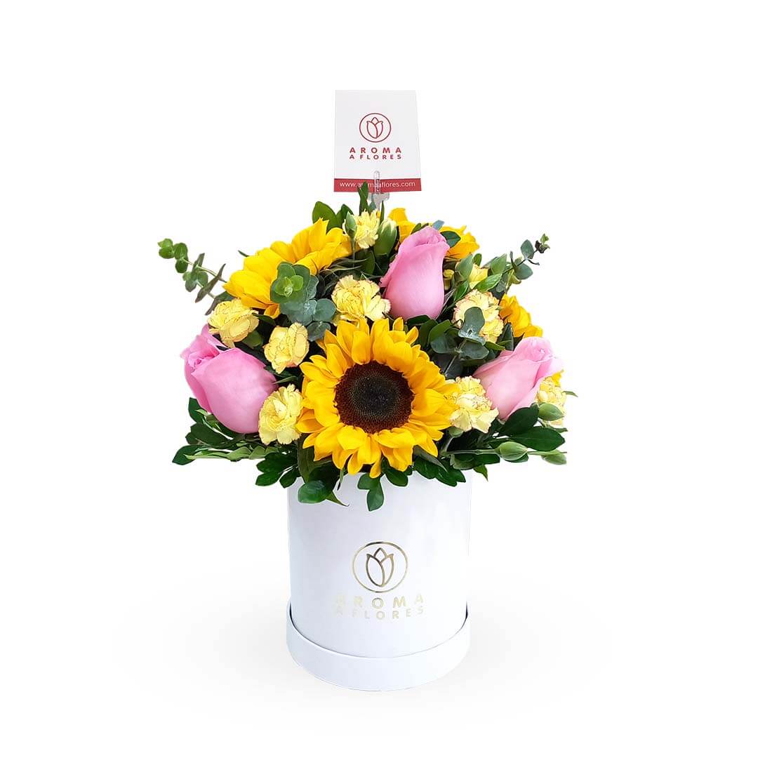 Box 8 rosas y 5 girasoles