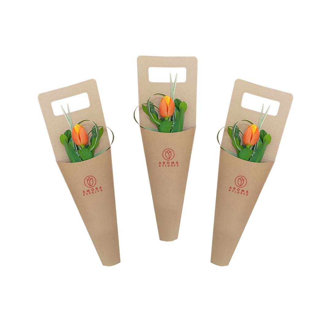 pack 3 cono 1 tulip (1) Pack 3 cono 1 tulipán - Imagen 1