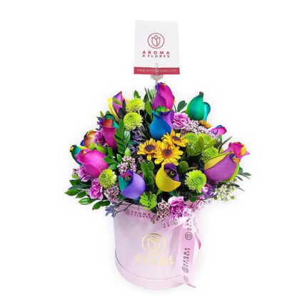 Box 18 rosas arcoiris