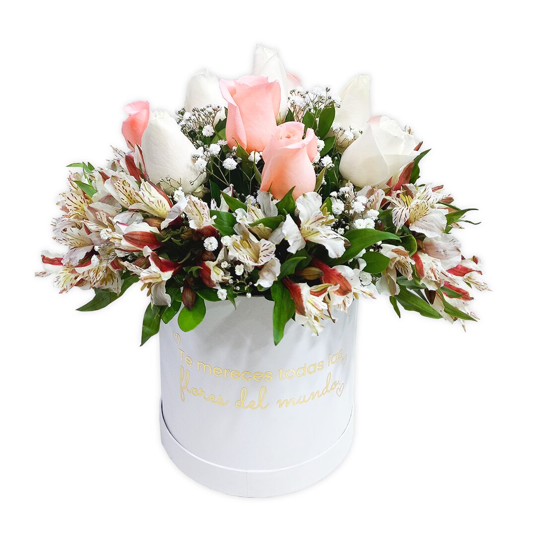 Box-Eres-especial.jpg Box-Eres-especial-rosas-astromelias-Aroma-a-flores