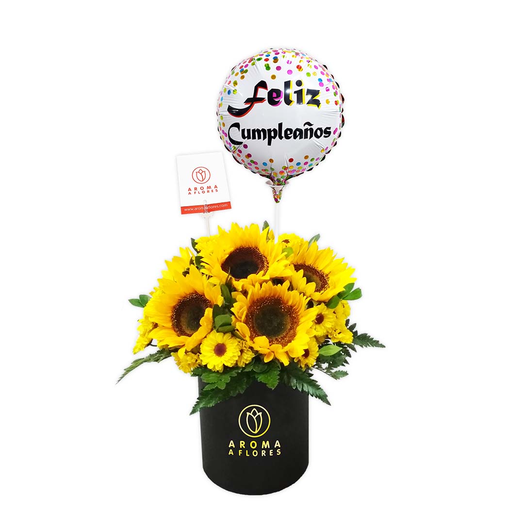 Box-Petit-Girasol.jpg Box Petit Girasol - Imagen 1