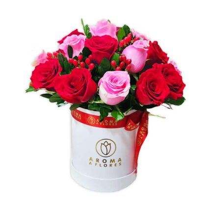 Box 15 rosas rojas y rosadas