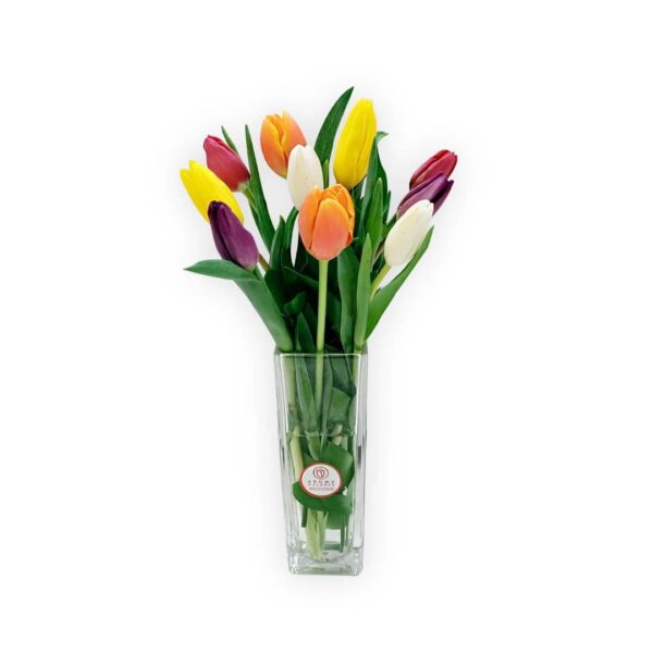 Florero 10 tulipanes