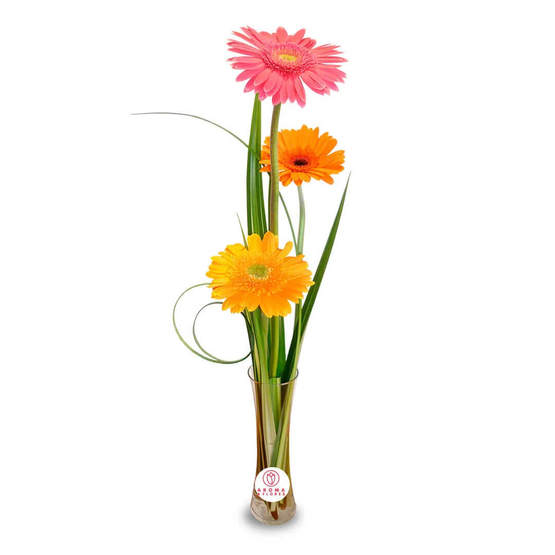 Florero-3-Gerberas.jpg Florero 3 Gerberas - Imagen 1