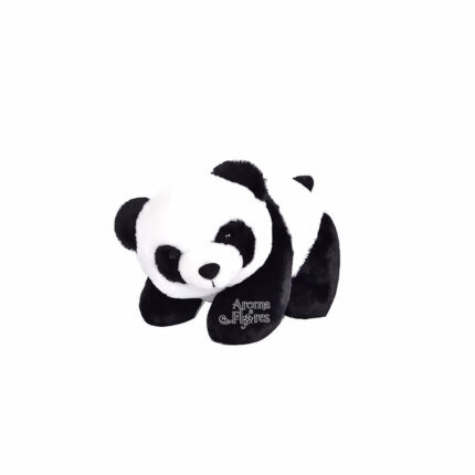 Pandita echado S