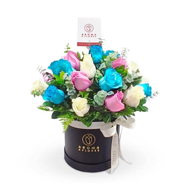 Box 24 rosas