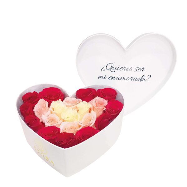 Box corazón 20 rosas