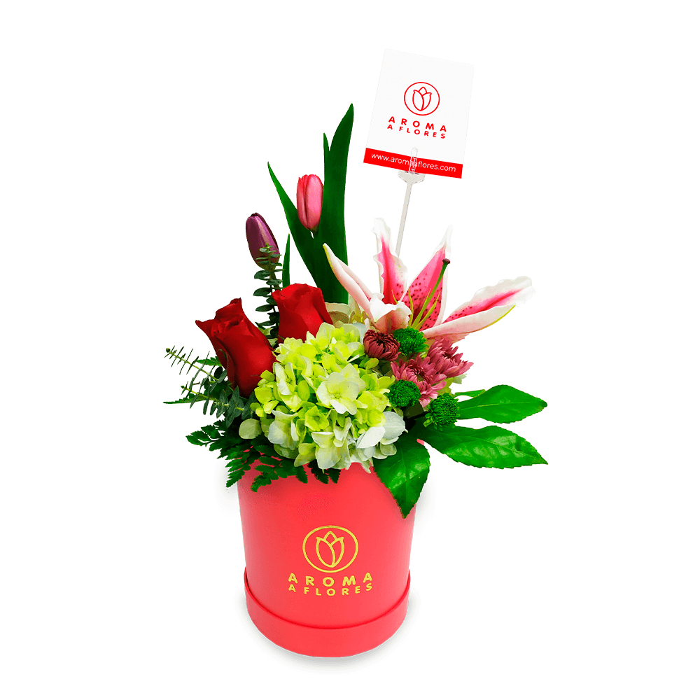 box-petit-amor.png Box Petit Amor - Imagen 1