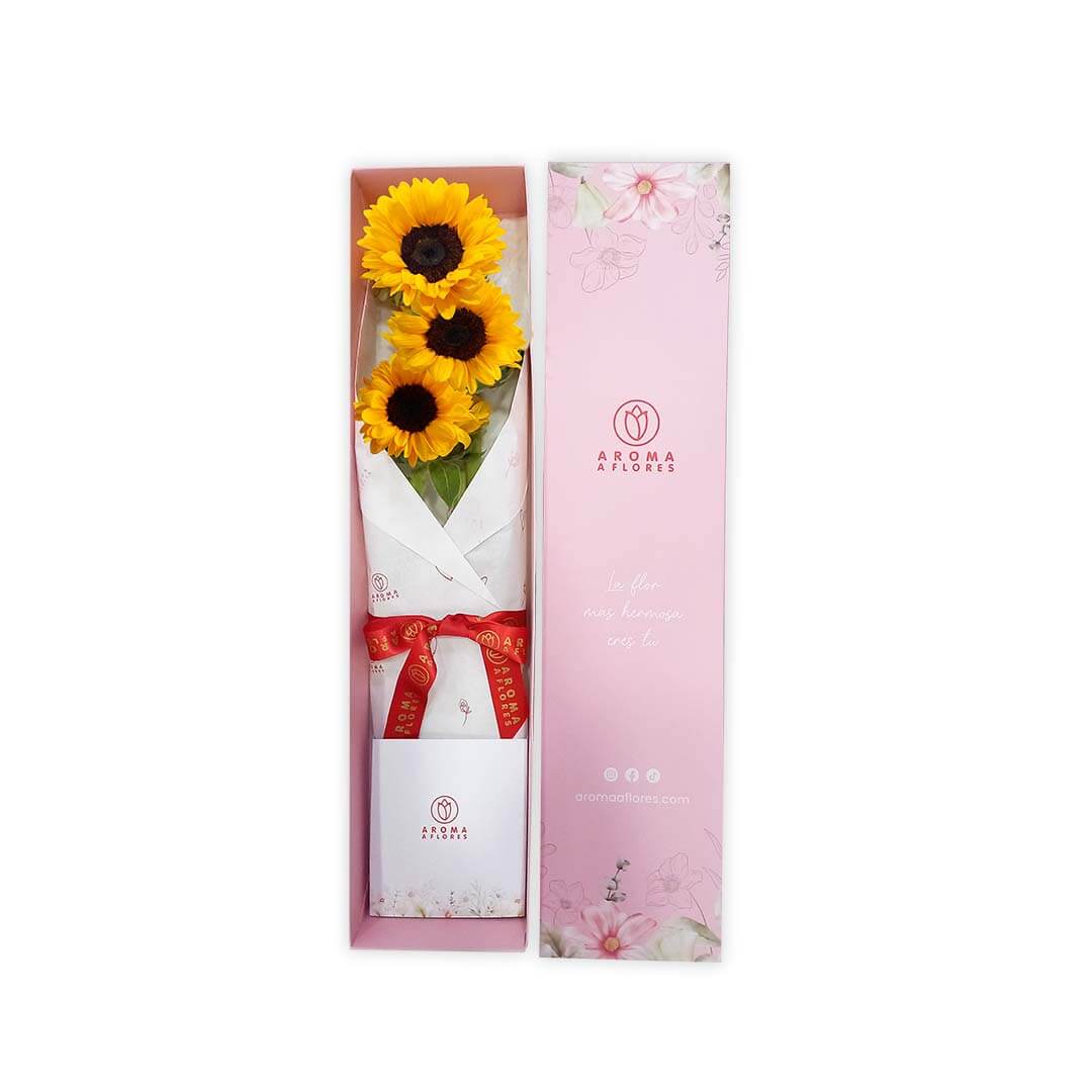 caja-3-girasoles-1.jpg caja-3-girasoles-Aroma-a-flores