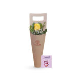 Cono de rosa - Imagen 2