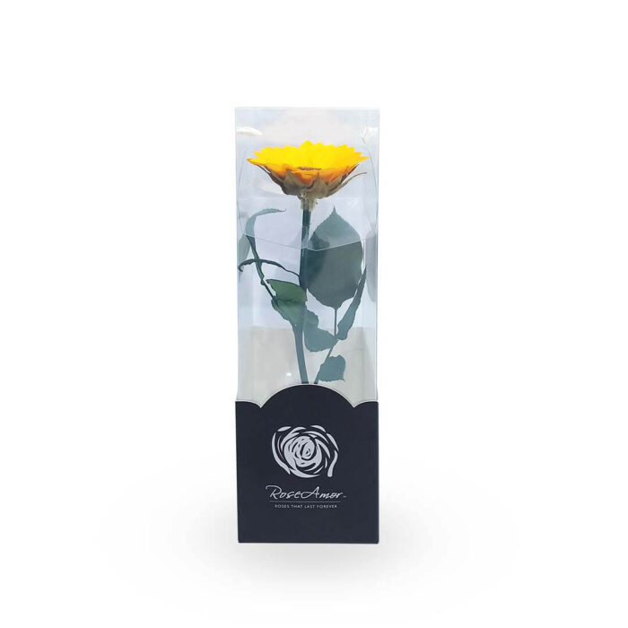 girasol-preservado-Aroma-a-flores
