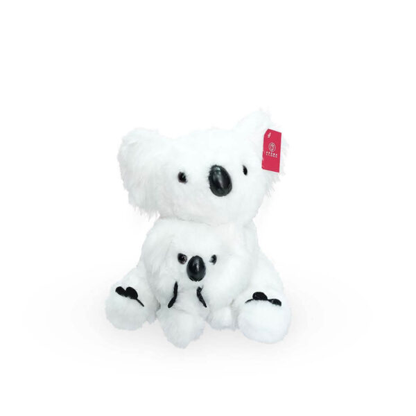 Koala blanco