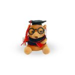 Oso graduado papiro xs - Imagen 2