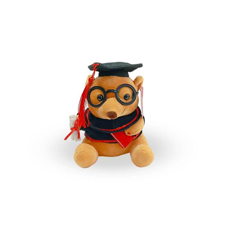 Oso graduado papiro xs - Imagen 2