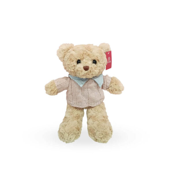 Oso teddy camisa