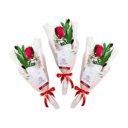 Promo 03 ramitos de 01 tulipan