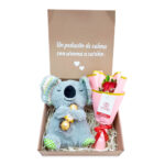 Pack koala dormilón