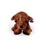 Perro sharpei - Imagen 2