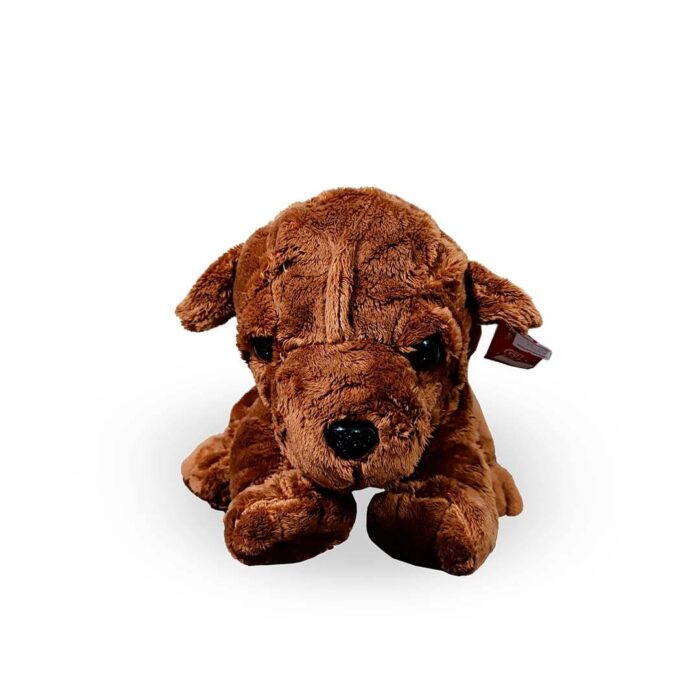 Perro sharpei - Imagen 2