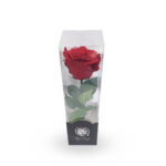 Rosa roja preservada mediana - Imagen 2