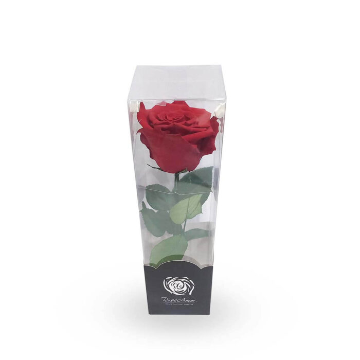 Rosa roja preservada mediana - Imagen 2