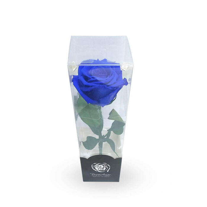 Rosa azul preservada mediana - Imagen 2
