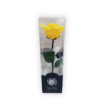 Rosa amarilla preservada mediana