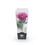 Rosa fucsia preservada mediana - Imagen 2