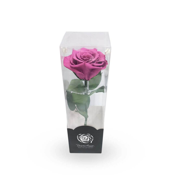 Rosa fucsia preservada mediana - Imagen 2