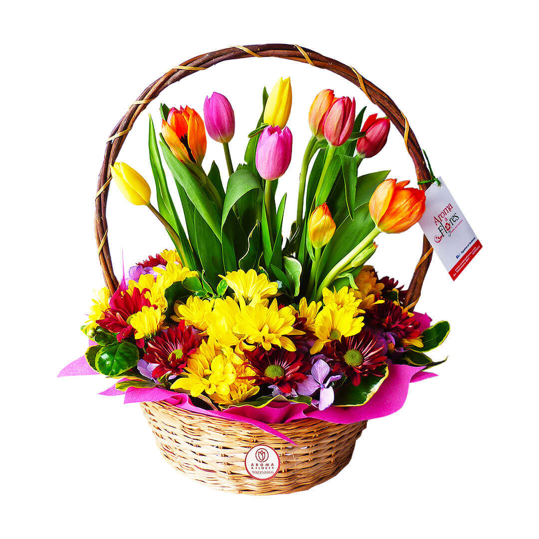 tulipanes-cutivala.jpg Tulipanes Cautívala - Imagen 1